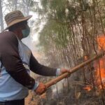 Un incendio forestal devastador arrasa con animales en Loja.